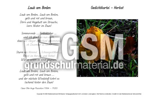 Laub-am-Boden-Flaischlen.pdf